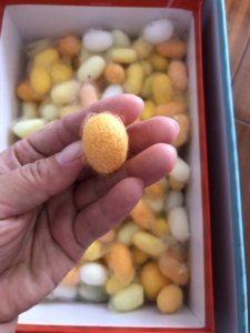 彩色的蚕茧!自家养的,数量不多,100个.刚刚结好的茧子,内