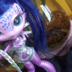 诺维星娃娃 novi stars