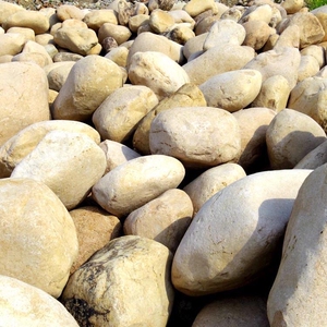 鹅卵石河滩石护坡石河堤石河道驳岸石河卵石草坪天然园林水冲石大