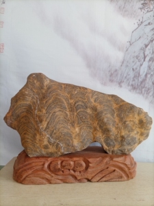 灵璧石,黄金钱皖螺,吉象如意.可看动物像型,可观堆金如山,石