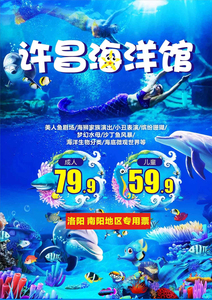 宠物及园艺 水族世界 鱼缸 洛阳海洋馆