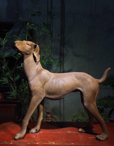 细犬 又名哮天犬 是中国神话传说中二郎神身边神兽 辅助他狩猎