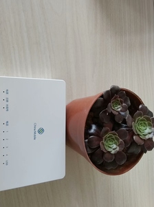 全新中兴f653gv9全千兆光猫,中国移动5g网络宽带千兆光