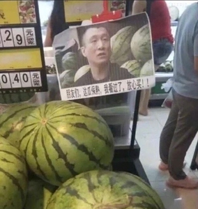 狮王谷淘宝8848西瓜钵苗,买的是这个品种的种子,但是我还没有吃到果