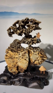 福建九龙壁华安玉石蜂窝石精品《摇钱树》 文房雅石 奇石摆件
