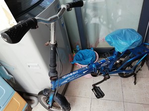 泰玛珑折叠自行车，原价550买的，加宽胎带后减震，需要换一个