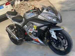 川崎小忍者250单缸