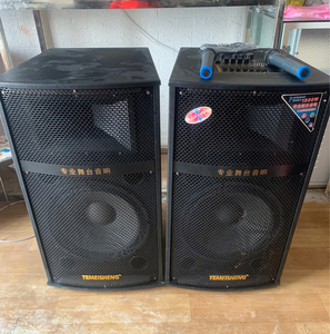 浪庭一对15寸舞台音响,有源的接电使用,店里的样机,没用过