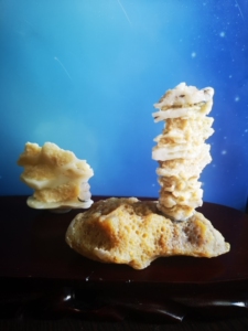 阿拉善戈壁小品石组合