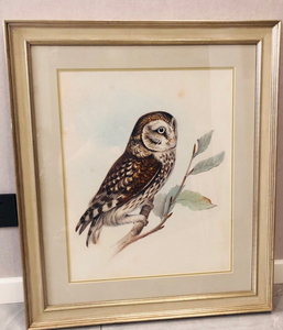 美克美家 猫头鹰装饰画   进口画芯.尺寸722*622.有