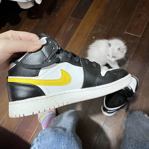 aj1 黑白鸳鸯四色熊猫采购 36.5码