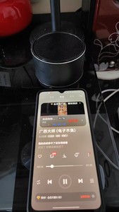 小米 小钢炮蓝牙音箱 经典款 型号是 NDZ-03-GA,成