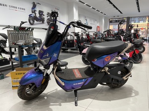 9成新雅迪极光冠智4.0电动车出售,2021年10月购买