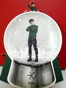 EXO-M EXO-K【12十二月的奇迹\鹿晗LUHAN立体水晶球官方小卡ZX