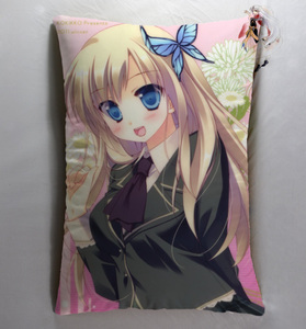 56 我的朋友很少抱枕靠枕 柏崎星奈 定制 内有图库 包邮