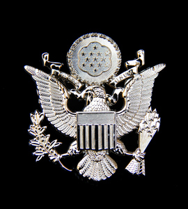 美国大盖帽帽徽 美国空军帽徽 大沿帽帽徽 做工精美