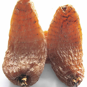 丽江雪山天麻 红天麻 血天麻  250克