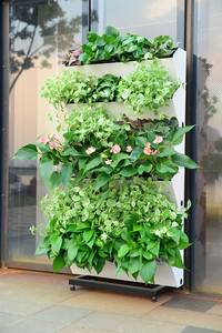 植物墙绿墙 自动灌溉花盆 阳台花架花墙 家庭装修
