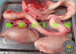 尾数多退少补.新鲜现杀牛鞭牛蛋.牛冲.牛鸡巴.牛睾丸牛卵子