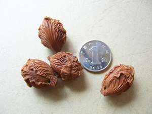 似水核雕龙纹桃核雕刻 核雕——白菜 百财(需预定)