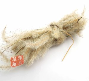 黄茅花