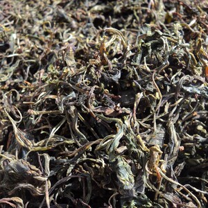 方塘人家2021新茶宁国老鹰茶皖南川藏线老阴茶白茶野生高山茶300g