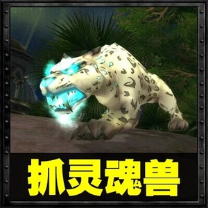魔兽世界代练灵魂兽代抓/秒带捉宝宝逐日洛卡纳哈/大角阿克图瑞斯
