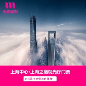 上海中心大厦门票