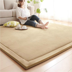 日韩风格加厚珊瑚绒地毯榻榻米床垫儿童爬行地垫子客厅卧室地毯