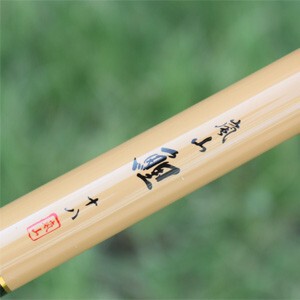 日本达瓦daiwa达亿瓦岚山鲤5.4米超硬竞技台钓鱼竿渔具