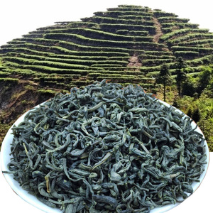 梅州清凉山绿茶