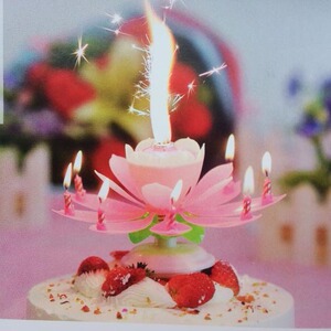 创意生日蛋糕蜡烛 彩色莲花 浪漫情人表白派对批发 音乐朋友礼物