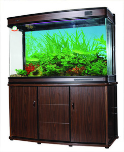 佳美水族箱拱面弧形弯缸长方型上滤 鱼缸中型家用客厅玻璃金鱼缸