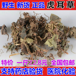 中药材 虎耳草 黄毛耳草 黄毛儿草 耳朵红 老虎草