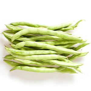 老来少云豆高产芸豆角种籽菜种子四季播农家蔬菜种孑成熟秋豆角
