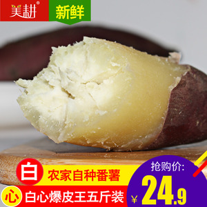 白心红薯 高州爆皮王番薯粉地瓜农家新鲜沙地山芋小香薯