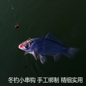 串钩钓鲫鱼用什么钩?钓鲫鱼用什么漂型图片 野