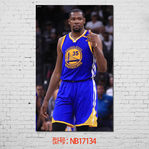 nba球星海报杜兰特