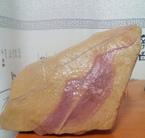 淮南紫金石彩石观赏石原石奇石/彩带 5.3kg/长25cm*宽10cm*高15