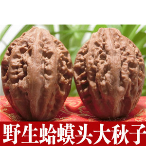 野生文玩核桃东北大秋子精品促销蛤蟆头塔尖西瓜东瓜粗筋罗汉揪子