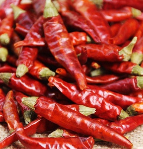 红干辣椒朝天红特辣辣500克