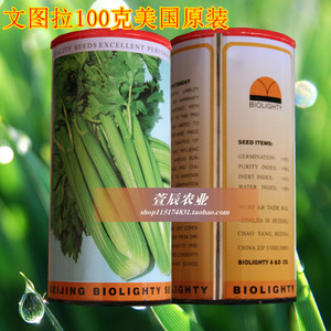 美国进口芹菜种子 文图拉西芹种子 寿光蔬菜种子 高产抗病耐运
