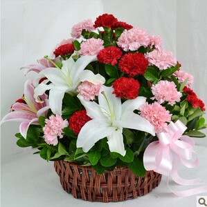 手提小花篮探望看病人鲜花双色康乃馨百合混搭插花母亲节教师节花