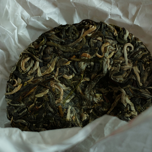 黄芽树