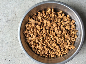 奶味骨头-淘宝拼多多热销奶味骨头货源拿货 - 阿里巴巴货源