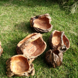 天然松树瘤 根雕摆件 禅意摆件 可当花器插花笔筒烟灰缸放钥匙