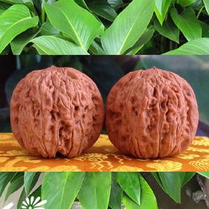 文玩核桃把玩手玩古玩兴隆纯野生矮桩密纹狮子头非嫁接非种植