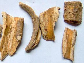 00东风图书商城淘宝中药材 五皮风 五爪龙,五皮草 五匹风 小五爪风