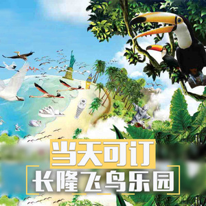 广州长隆飞鸟乐园
