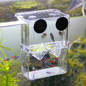 孔雀鱼孵化盒双层自浮式孵化器幼鱼繁殖亚克力隔离盒斗鱼盒小大号